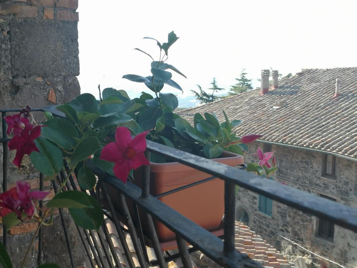 La Gioiosa Apartment Radicofani Luaran gambar